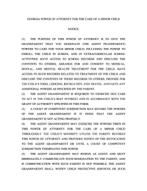Georgia Power of Attorney for Minor Child Care