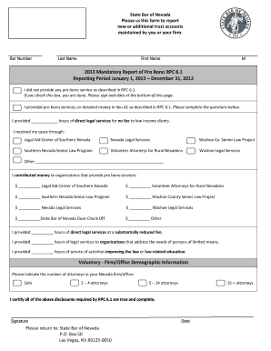 Nevada Pro Bono Service Report Form