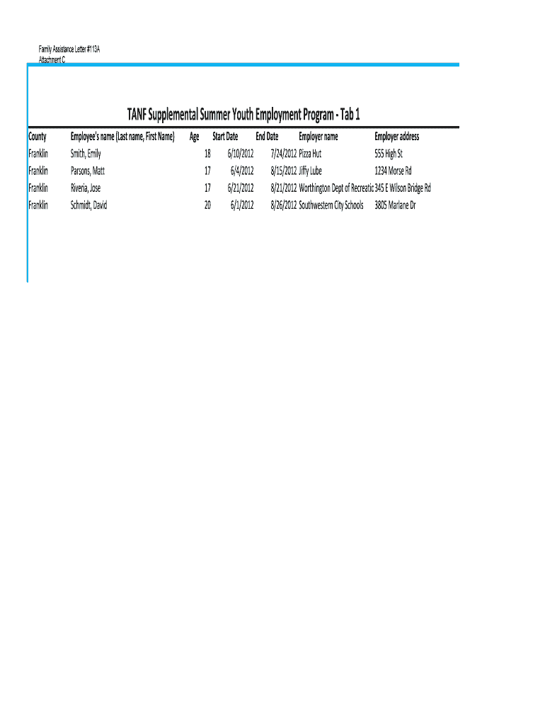 Fillable Online jfs ohio SYP 2012 reporting form Sample.xlsx - Ohio ...