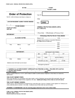 Ohio Criminal Protection Order Form 10.03-B