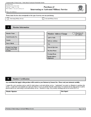 Form preview picture