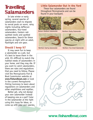Pennsylvania Salamander Pet Guide