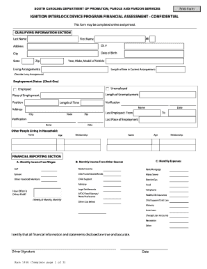 South Carolina Ignition Interlock Device Program Financial Assessment