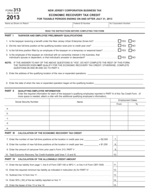 New Jersey Corporation Business Tax Form 313