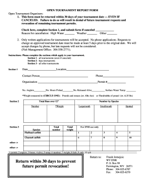 Form preview picture