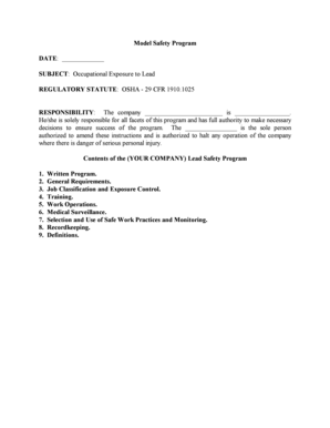 Lead Safety Program Template