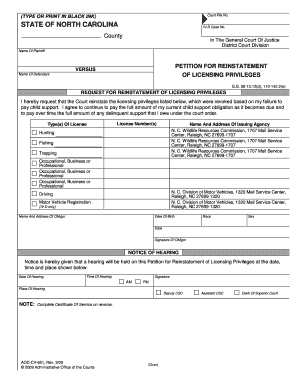 Petition for Reinstatement of Licensing Privileges