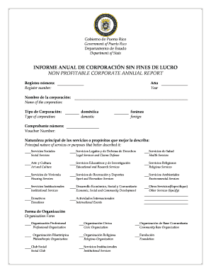 Puerto Rico Non-Profit Annual Report