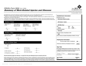 OSHA Form 300A Summary