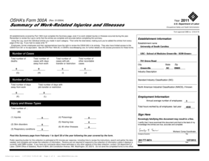 OSHA Form 300A Summary