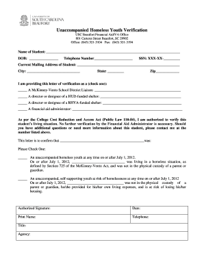 Unaccompanied Homeless Youth Verification Form