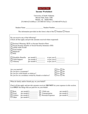 Income Worksheet Form