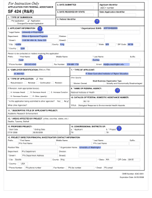 SF 424 Application for Federal Assistance