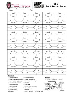 Form preview picture