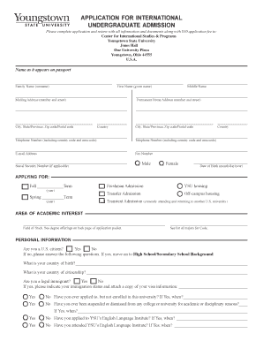 International Undergraduate Admission Application