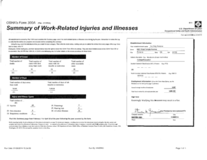 OSHA Form 300A Summary