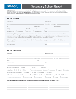 Secondary School Report Form