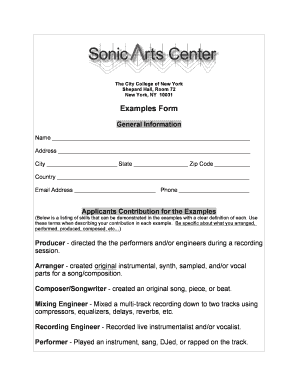 City College of New York Examples Form