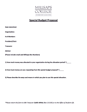 Special Budget Proposal - millsaps