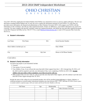 2013–2014 SNAP Independent Worksheet