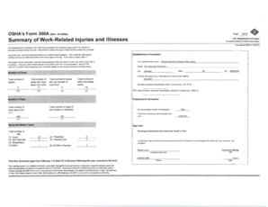 OSHA Form 300A Summary of Work-Related Injuries and Illnesses