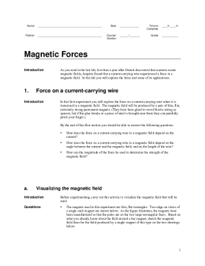 Magnetic Forces Lab Report