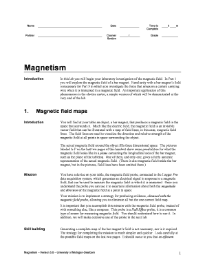 Magnetism Lab Activity