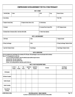 Comprehensive Needs Assessment for At Risk Pregnancy