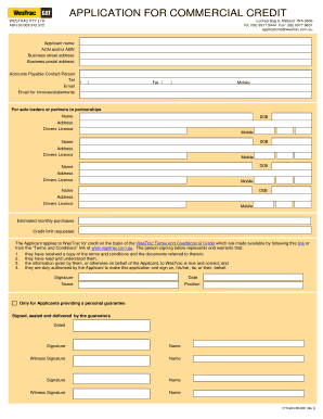 Commercial Credit Application Form