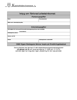 Loss of Income Statement for Municipal Trustee