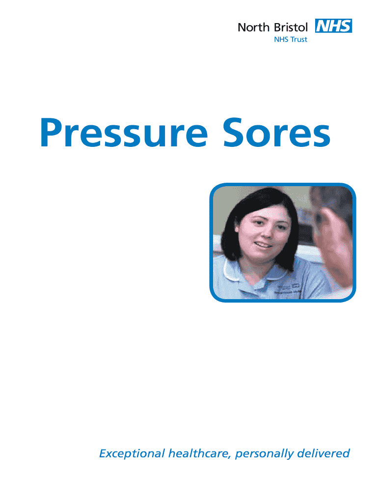 Fillable Online sores are often known as bedsores or pressure Fax Email