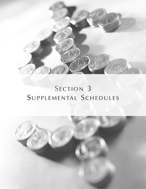 Supplemental Schedules for School Foodservice Financial Reporting