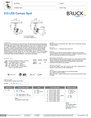 Bruck Z15 LED Canopy Spot Order Form