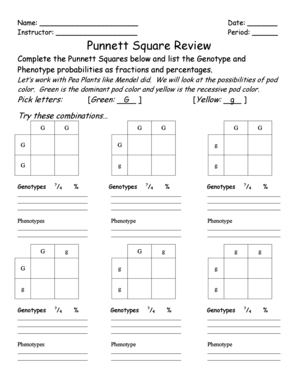 punnett square template