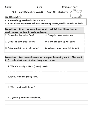 Grammar Test on Describing Words