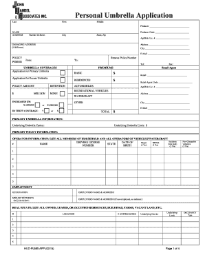 Personal Umbrella Insurance Application