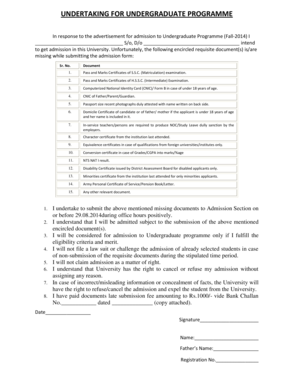 Undergraduate Admission Document Undertaking