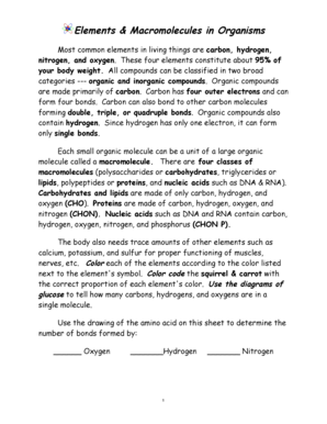 Elements and Macromolecules in Organisms Worksheet
