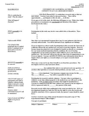 Research Subject Consent Form