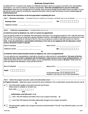 Canada Revenue Agency Business Consent Form