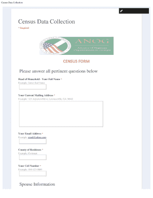 Census Data Collection Form