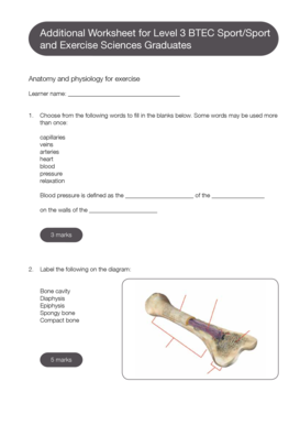 BTEC Sport Anatomy and Physiology Worksheet
