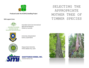 Thesis example - Selecting the Appropriate Mother Tree for Timber bb - Rainforestation - rainforestation