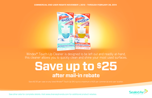 Windex Touch-Up Cleaner Mail-In Rebate Form