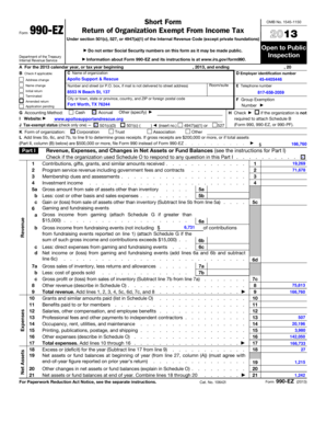 Form 990-EZ 2013