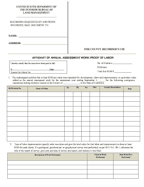 BLM Affidavit of Annual Assessment Work