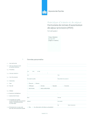 Formulaire de remise d’autorisation de séjour provisoire (MVV)