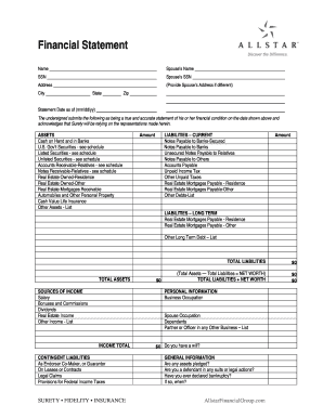 Financial Statement Form