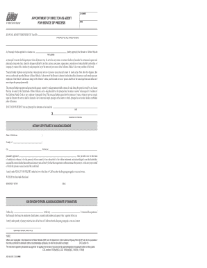 California Appointment of Director as Agent