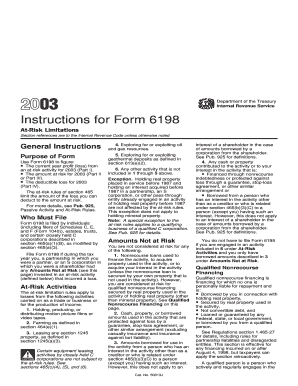 IRS Form 6198 Instructions